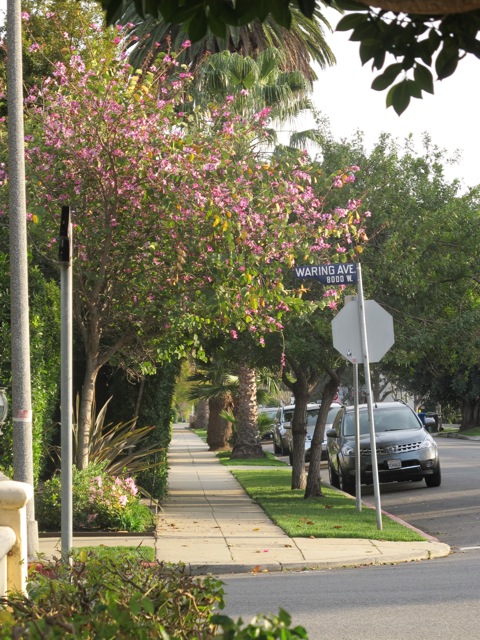 Hollywood